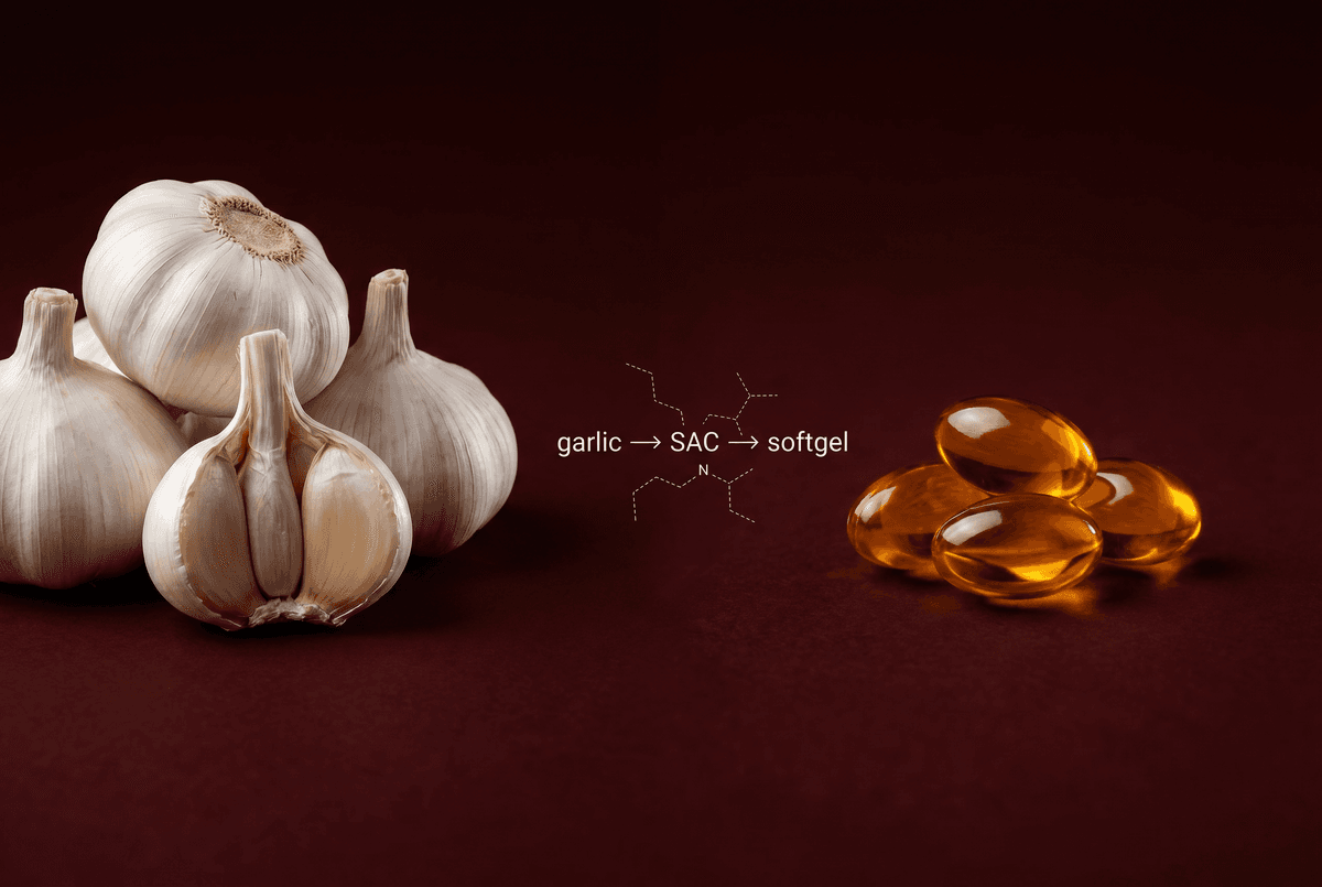 Aged garlic and CoQ10 softgels β two ingredients